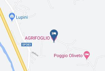 Agrifoglio Carta Geografica - Umbria - Perugia