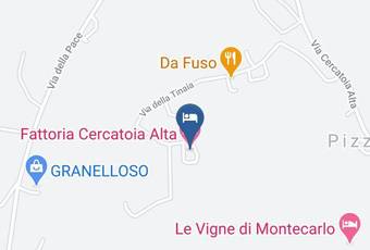 Fattoria Cercatoia Alta Carta Geografica - Tuscany - Lucca