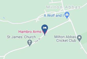 Hambro Arms Map - England - Dorset