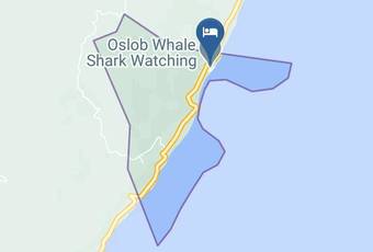 Sharky Hostel Oslob Map - Central Visayas - Cebu