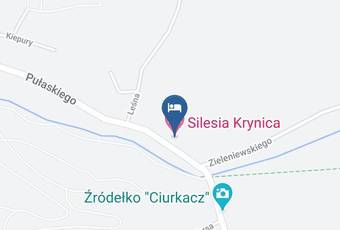 Silesia Krynica Map - Malopolskie - Nowosadecki